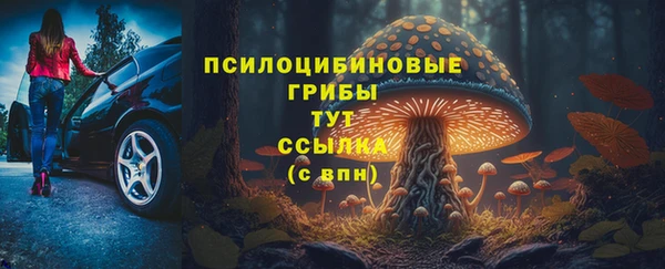 прущая мука Алзамай