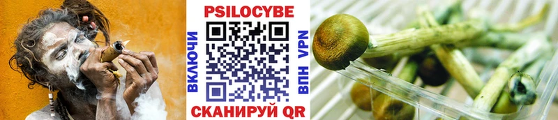 где продают   Беслан  Галлюциногенные грибы мухоморы 